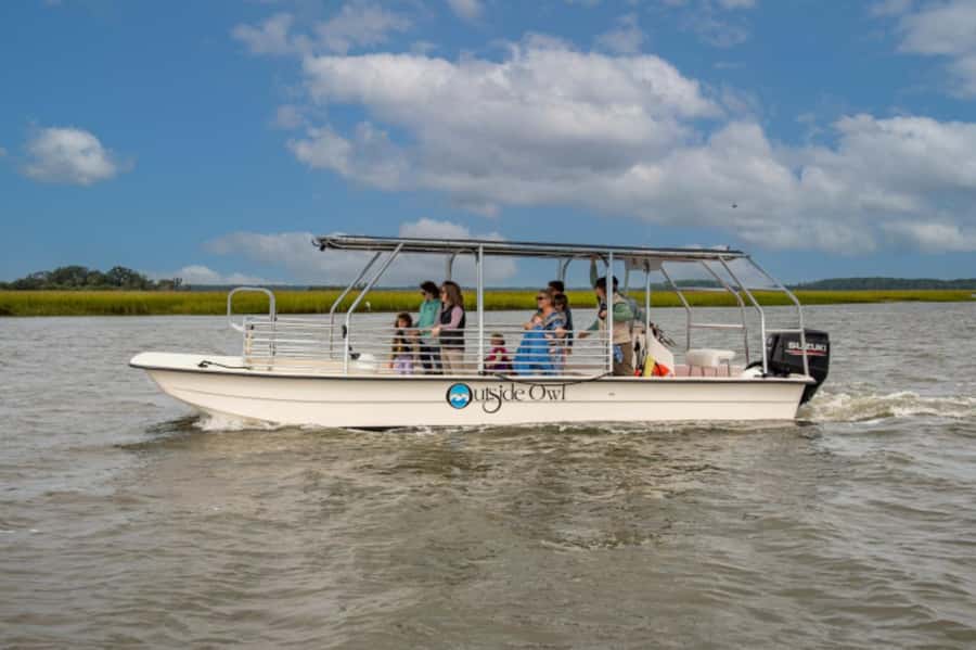 Savannah: Dolphin Spotting Eco Tour with Experienced Captain - What Makes the Savannah Dolphin Eco Tour Unique