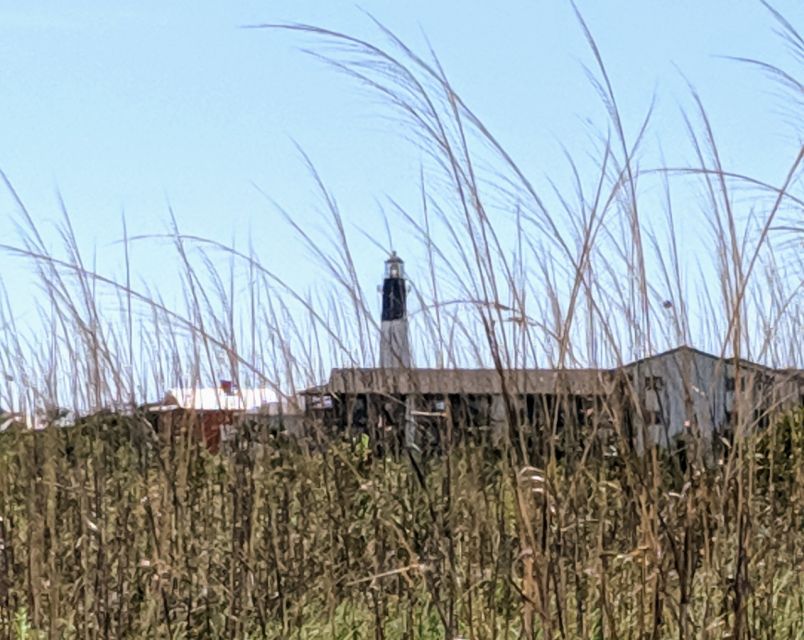 Savannah: Historic District and Islands Private Tour - Discover Savannah’s Historic Squares and Architectural Charm