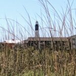 Savannah Historic District & Islands Private Guided Tour - Start in Savannah’s Historic Squares and Green Spaces