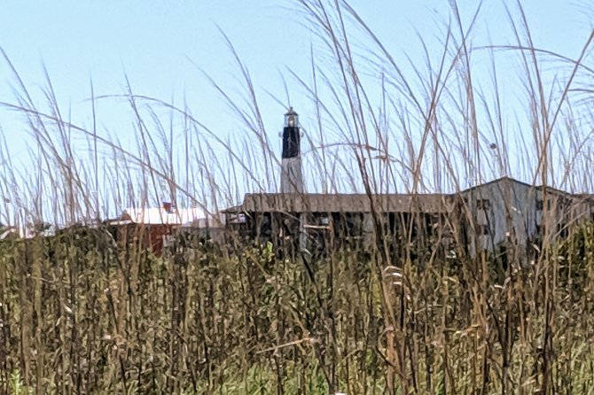 Savannah Historic District & Islands Private Guided Tour - Start in Savannah’s Historic Squares and Green Spaces