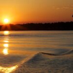 Savannah Sunset Dolphin Eco Tour - Encountering Dolphins in Their Natural Habitat