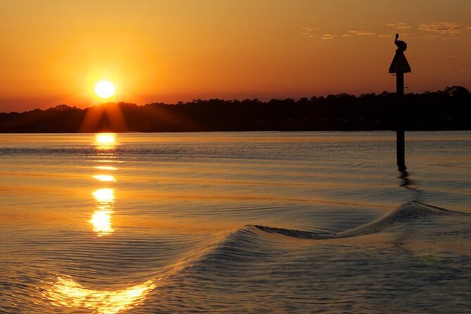 Savannah Sunset Dolphin Eco Tour - Encountering Dolphins in Their Natural Habitat