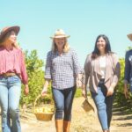 Savor the SYV Farm Experience Cattle Ranch to Olive Grove Picnic - Santa Ynez Valley’s Cattle Ranch and Farm Access