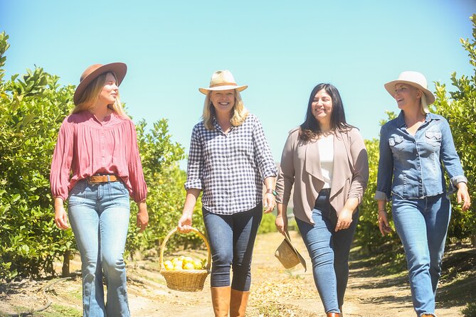 Savor the SYV Farm Experience Cattle Ranch to Olive Grove Picnic - Santa Ynez Valley’s Cattle Ranch and Farm Access