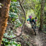 Sayulita: Jungle Mountain Biking - What to Expect When Mountain Biking in the Jungle