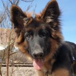 Scavenger Hunt in Gdask, Poland - Starting Point at Plac zabaw z hutawkami