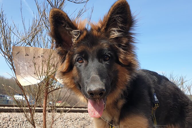 Scavenger Hunt in Gdask, Poland - Starting Point at Plac zabaw z hutawkami