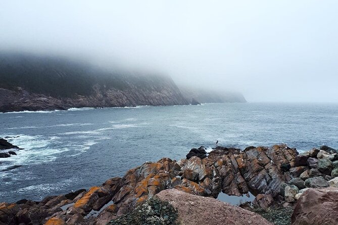 Scenic Bus Tour of the Northeast Avalon from St. John's - Exploring the Ocean Sciences Centre Marine Public Education Program