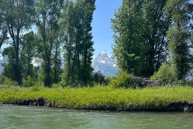 Scenic Float Trip on the Snake River in Grand Teton National Park - Wildlife Watching from the Water