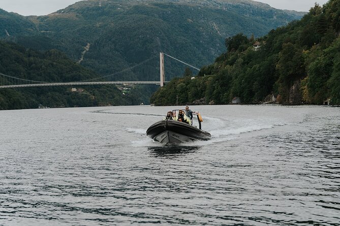 Scenic Hardangerfjord & Fyksesund RIB adventure from Norheimsund - The Thrilling RIB Adventure in Norheimsund’s Fjords