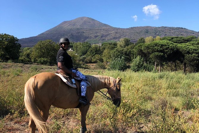 Scenic Horseback Ride, Wine Tasting & Lunch on Mt. Vesuvius - Key Points