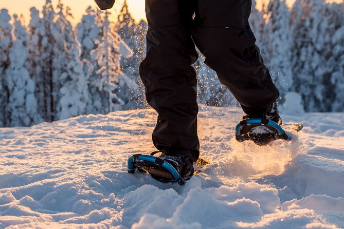 Scenic Levi Snowshoe Trip - The Snowshoeing Journey into Lapland’s Forests