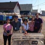 Scenic North Shore and Anne 5 Passengers only - Driving Through Prince Edward Island National Park