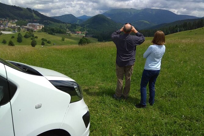 Scenic Private Transfer from Passau to Prague in a Sanitized Car - Starting Point in Prague with Flexible Timing