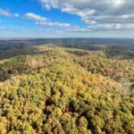 Scenic River & Nature Helicopter Tour from Nashville - Experience the Flight with a Skilled and Reassuring Pilot