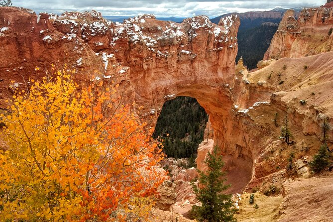 Scenic Tour of Bryce Canyon - Highlights of the Bryce Canyon Scenic Tour