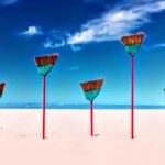 Scenic Wildlife Boat Cruise & Wine with a local Artist - How the Electric Duffy Boat Enhances the Experience