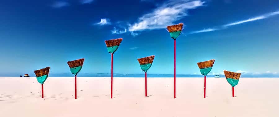 Scenic Wildlife Boat Cruise & Wine with a local Artist - How the Electric Duffy Boat Enhances the Experience