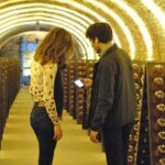 Schlumberger Sparkling Wine Cellar World Entrance Ticket in Vienna - Visiting the Schlumberger Cellars in Vienna