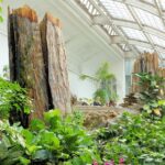 Schmetterlinghaus - Imperial Butterfly House Vienna Admission Ticket - The Palm House and Educational Films