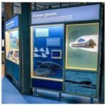 Scottish Seabird Centre: Discovery Experience Entry Ticket - Interactive Exhibits That Bring Marine Life Closer