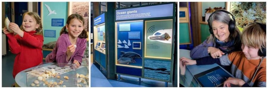 Scottish Seabird Centre: Discovery Experience Entry Ticket - Interactive Exhibits That Bring Marine Life Closer