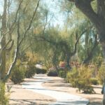 Scottsdale Self-Guided Walking Tour: Art & Desert Inspiration - Discovering Scottsdale’s Creative Heart at North Marshall Way