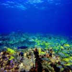 Scuba Diving Adventure WITHOUT CERTIFICATION! Try it today! - Small-Group Experience Ensures Personalized Attention