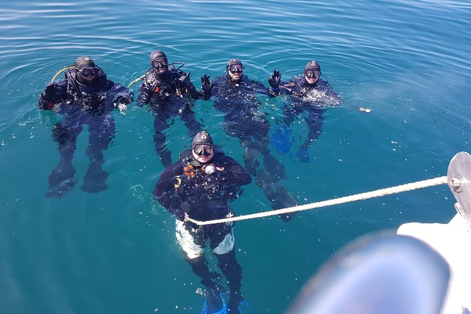 Scuba Diving Albufeira-Double Dive Trip - Exploring the Dive Sites by Boat