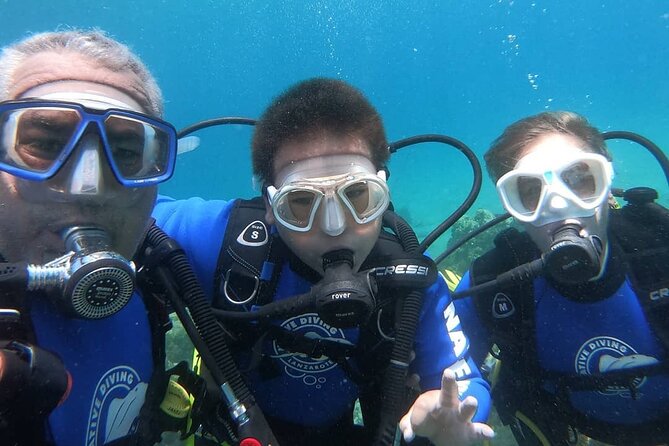 Scuba Diving (Basic Diver - 2 dives) - Meeting Point and Accessibility in Costa Teguise