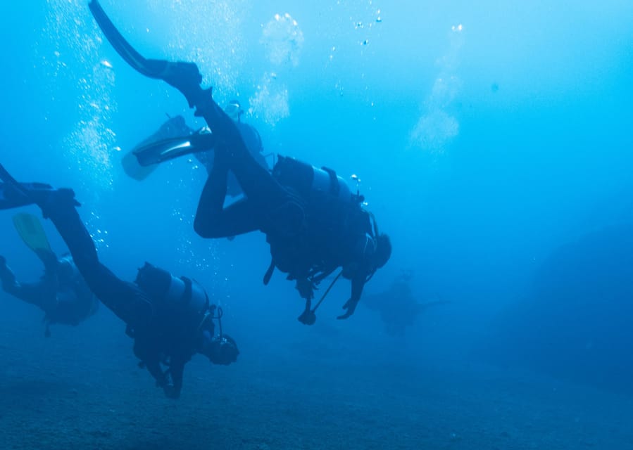 Scuba Diving Experience for Beginners In Greece - Overview of the Greece Beginner Scuba Tour