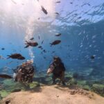 Scuba Diving Experience + Free Edited Video - Guides Expertise and Approach
