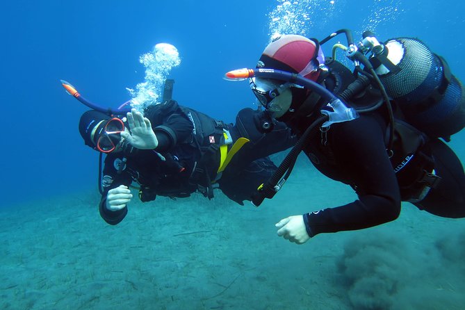 Scuba Diving Experience in Santorini - Starting Point at Santorini Scuba Academy