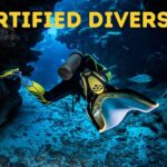 Scuba Diving for Certified Divers in Costa Adeje - Starting Point at the PADI 5* Travel Sub Dive Center in Costa Adeje
