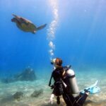 Scuba Diving in Maui with No Experience Needed - Starting Point at Kapalua Bay: Scenic and Accessible
