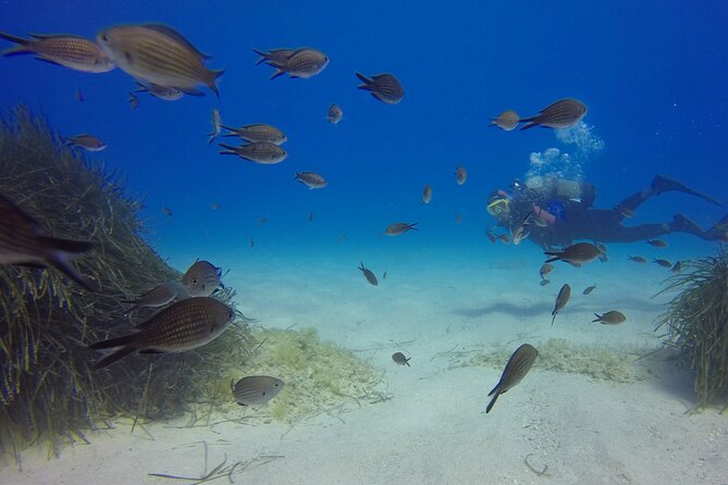 Scuba Diving in MIG-21 wreck - Equipment, Safety, and Duration