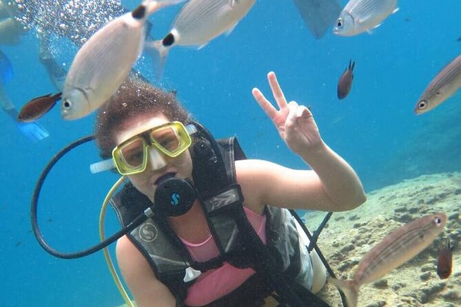 Scuba Diving Tour in Alanya - Pickup and Meeting Logistics in Alanya