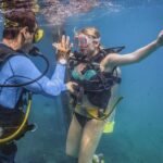 Scuba Diving with a 5-Star PADI Center in Puerto Vallarta - Exploring the Marine Reserves: Las Caletas and Marietas Islands