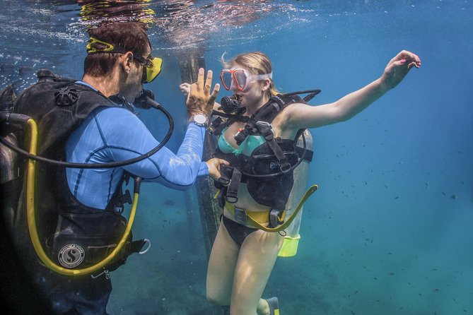 Scuba Diving with a 5-Star PADI Center in Puerto Vallarta - Exploring the Marine Reserves: Las Caletas and Marietas Islands