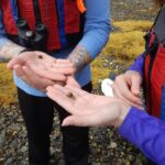 Sea Kayak to an Island Tour in Casco Bay - Launching from Mere Point: A Prime Starting Point in Brunswick