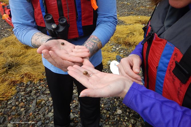 Sea Kayak to an Island Tour in Casco Bay - Launching from Mere Point: A Prime Starting Point in Brunswick