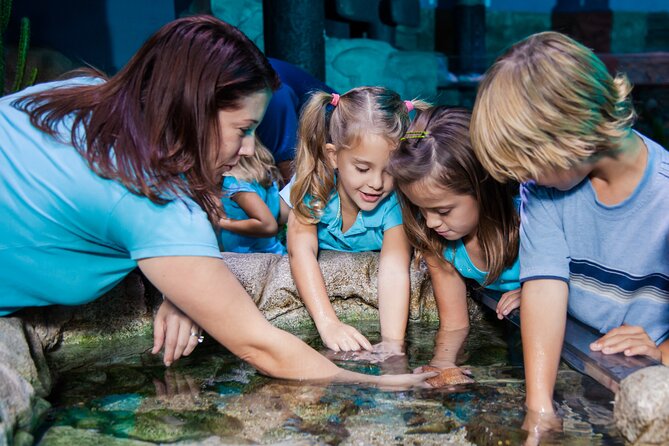 SEA LIFE Aquarium Grapevine Admission Ticket - Flexible Admission with a Mobile Ticket for a Leisurely Exploration