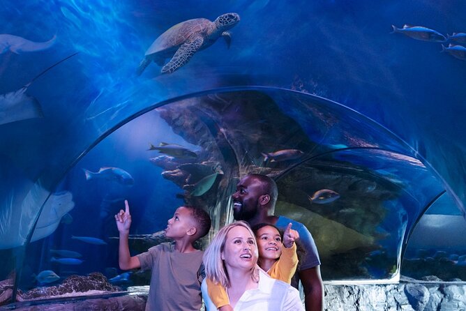 SEA LIFE Aquarium Minnesota Admission Ticket at Mall of America - Location and Accessibility at Mall of America