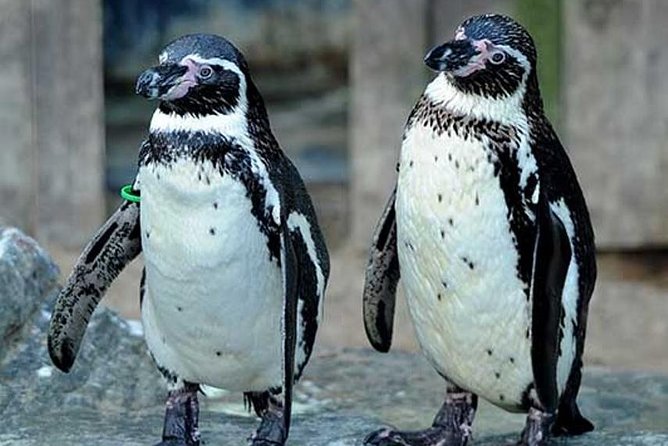 SEA LIFE Great Yarmouth General Admission - The Main Entrance and First Impressions