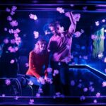 SEA LIFE Kansas City Aquarium Admission Ticket - What’s Included with the SEA LIFE Kansas City Admission Ticket