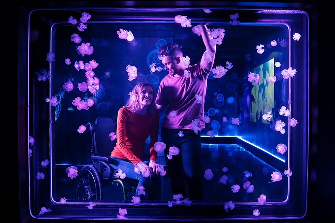 SEA LIFE Kansas City Aquarium Admission Ticket - What’s Included with the SEA LIFE Kansas City Admission Ticket