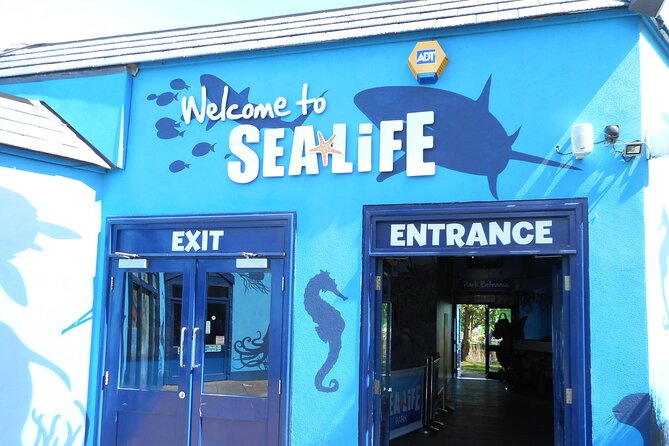 SEA LIFE Weymouth Admission Ticket - Dive Into the Ocean Tunnel for Shark Encounters