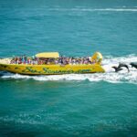 Sea Screamer Clearwater's Only Speed Boat Dolphin Watching - The Thrill of Dolphin Encounters