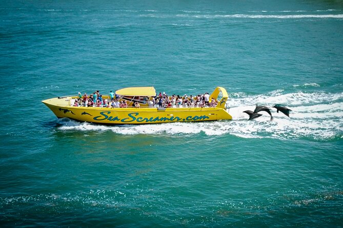 Sea Screamer Clearwater's Only Speed Boat Dolphin Watching - The Thrill of Dolphin Encounters