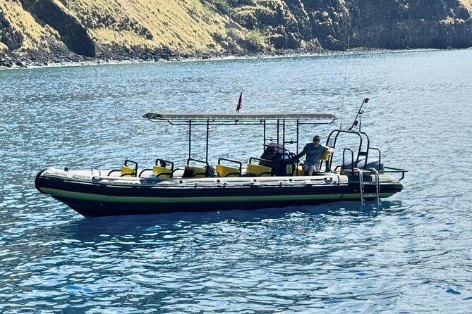 Seasonal Small-Group Humpback Whale Watching in Kona - Small-Group Setting Offers Personalized Ocean Encounters